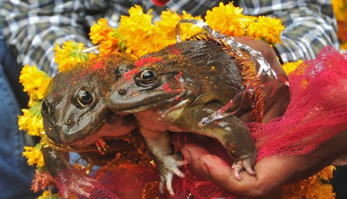 तस्बिर स्रोतः न्युज १८ डटकम